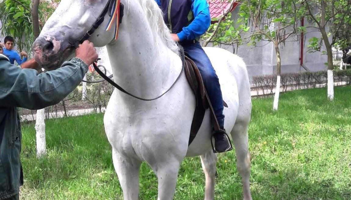 Depozit Armasari Ramnicelu Cal - Râmnicelu