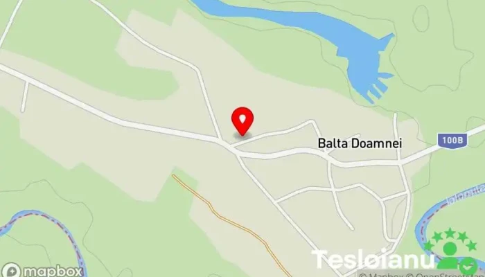 hartă a Depozit Balta Doamnei Magazin de bricolaj în Balta Doamnei