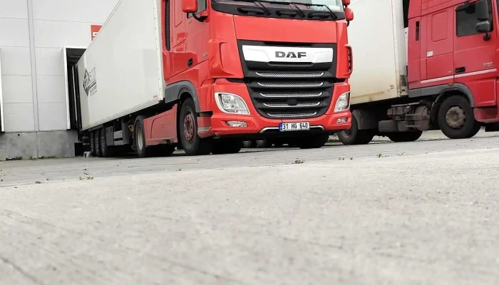 Depozit Caroli -    Foodline Locație - Bolintin-deal