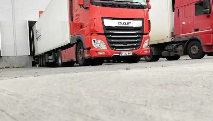 Depozit Caroli - Foodline - Bolintin-Deal
