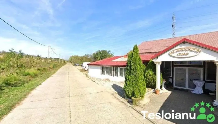 Dezmembrări Auto Caransebeș - Păltiniș 327295