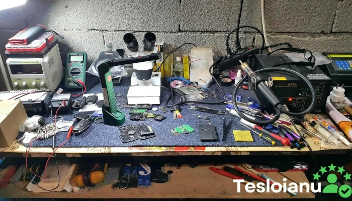 Diagnoze,Chei Auto si Rezidentiale(Stelian Botanoiu ) - Roșiori De Vede 145100