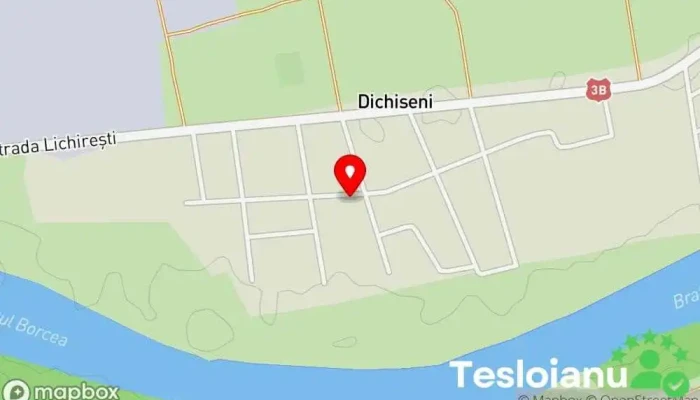 hartă a Dichiseni  în Dichiseni