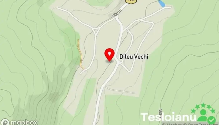 hartă a Dileu Vechi  în Dileu Vechi