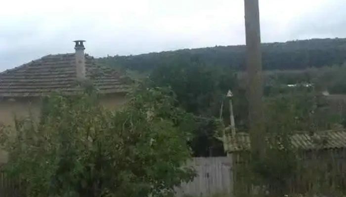 Dobromir - Dobromir