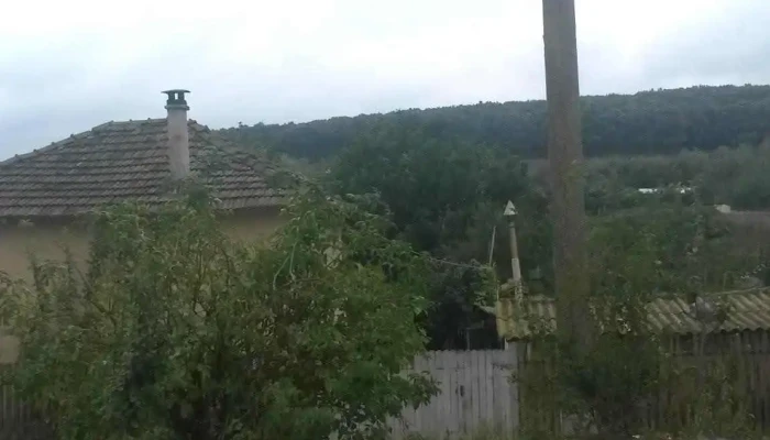 Dobromir -  Prețuri - Dobromir