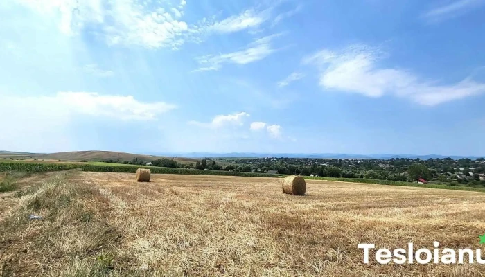 Dochia -  Deschis Acum - Dochia