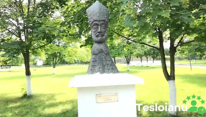 Doicesti Videoclipuri - Doicești