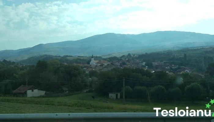 Domasnea Adresă - Domașnea