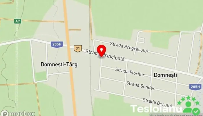 hartă a Domnești-Târg  în Domnești-Târg