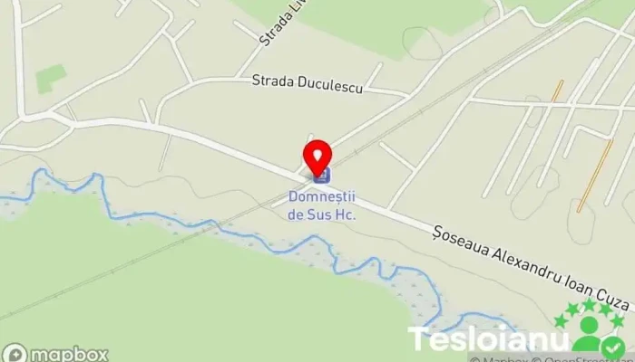 hartă a Domneştii de Sus Gară în Domnești