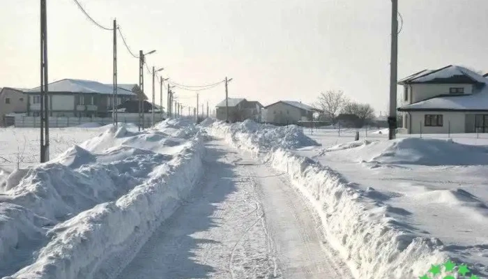 Domnești - Domnești