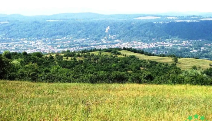 Domnești - Domnești