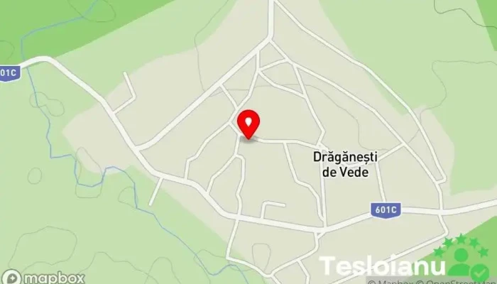 hartă a Drăgăneşti de Vede  în Drăgăneşti de Vede