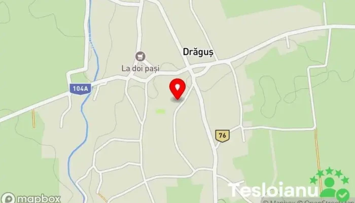 hartă a Drăguș  în Drăguș