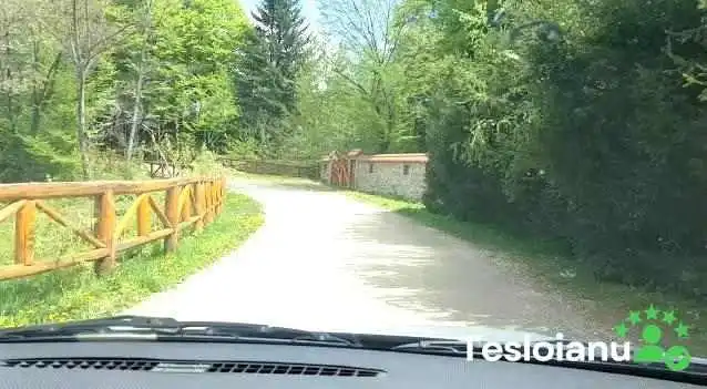 Dragus Videoclipuri - Drăguș