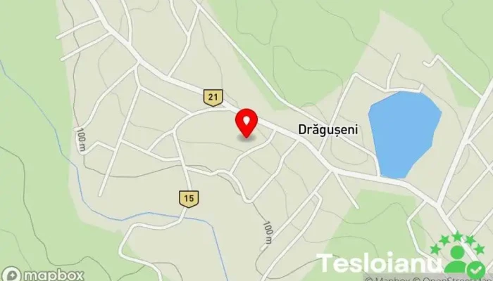 hartă a Drăgușeni  în Drăgușeni