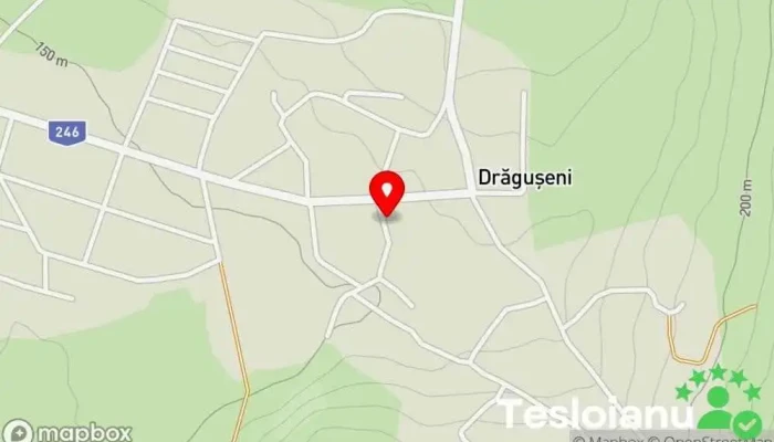 hartă a Drăgușeni  în Drăgușeni