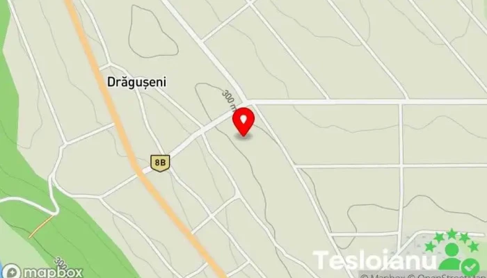 hartă a Drăgușeni  în Drăgușeni