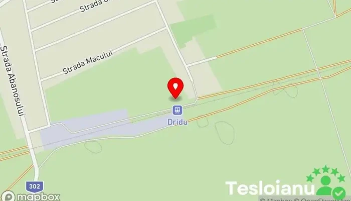 hartă a Dridu Gară în Dridu