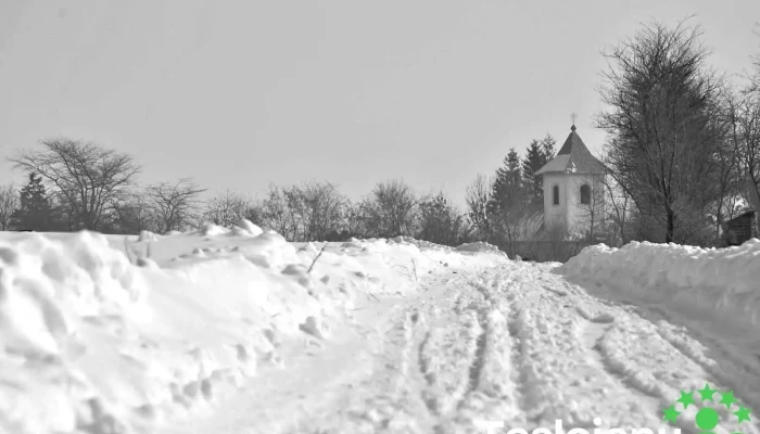 Drăgușeni - Drăgușeni