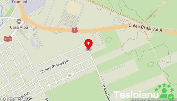 hartă a DTR Draexlmaier Sisteme Tehnice România Atelier de fabricare piese în Ghimbav