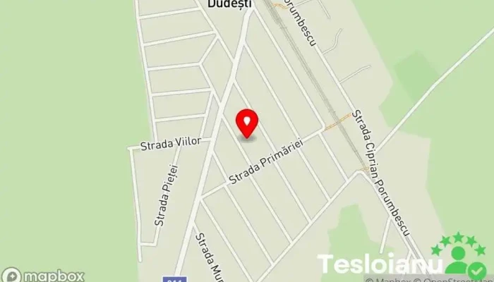 hartă a Dudești  în Dudești