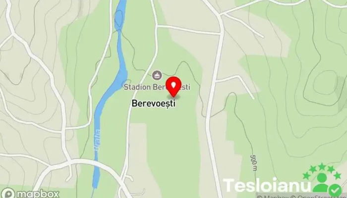 hartă a E-combust Care SRL Piese auto în Berevoești