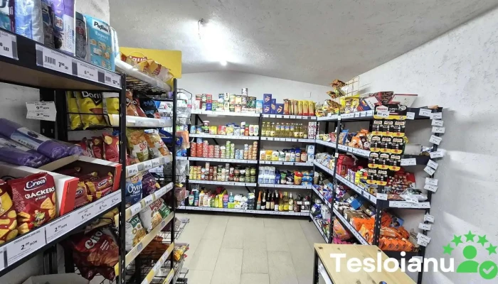 E -  Shop Market Place Srl Aproape De Mine - Albeștii Pământeni