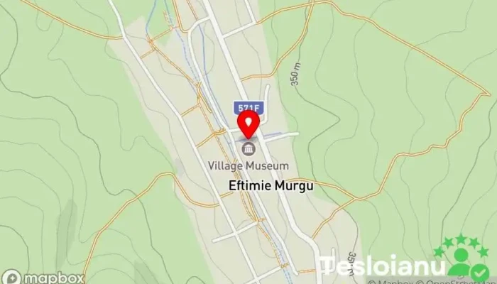 hartă a Eftimie Murgu  în Eftimie Murgu