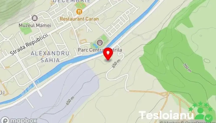 hartă a Elyon Werkstatt Atelier de reparații auto în Petrila