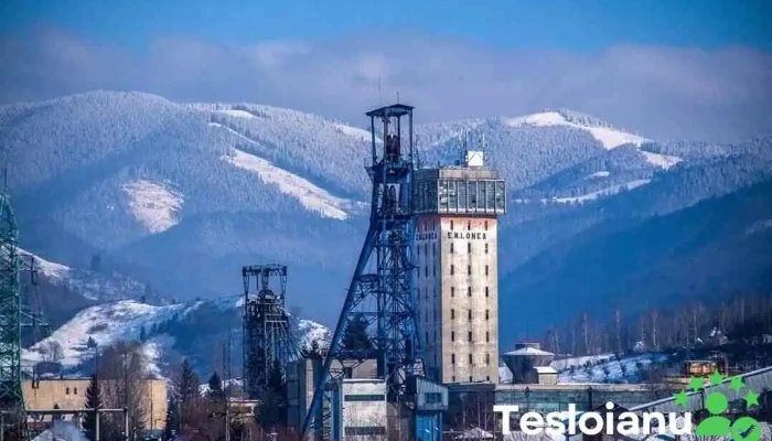 Em Lonea Adresă - Petrila