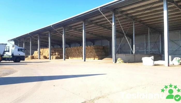 Erbalact Srl Autocamion - Nucet