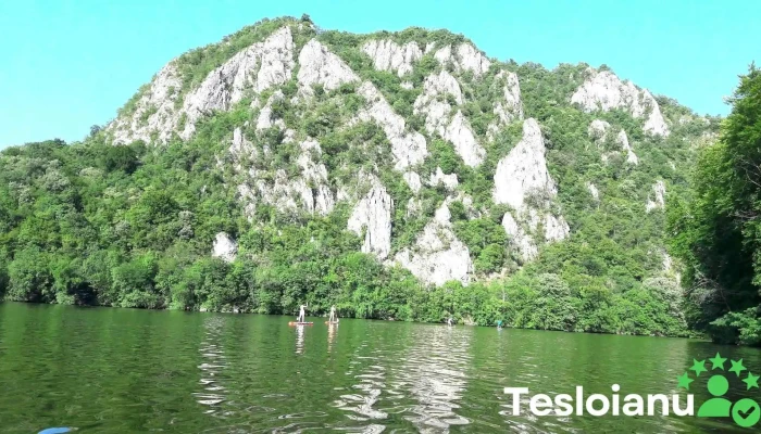 Eselnita Recenzii - Eșelnița
