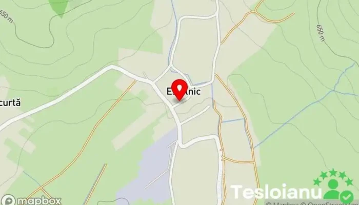 hartă a Estelnic  în Estelnic