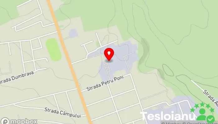 Estrada Srl Statie Itp Auto Targu Frumos - Târgu Frumos 705300