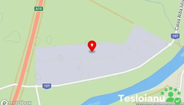 hartă a Exclusiv Tehnic Service auto în Șeușa