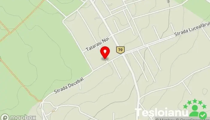 hartă a Expert Mecanic Auto Service auto în Ipotești