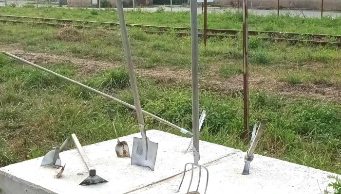 Exploatarea Culturala Petrila Telefon - Petrila