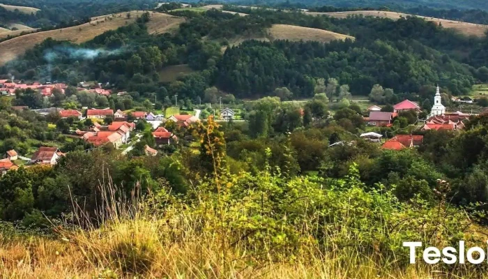 Ezeris Site Web - Ezeriș