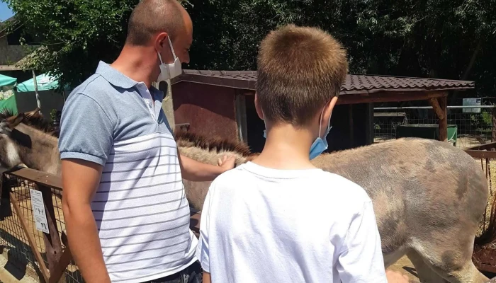 Fabricuta De Lactate Adresă - Pantelimon