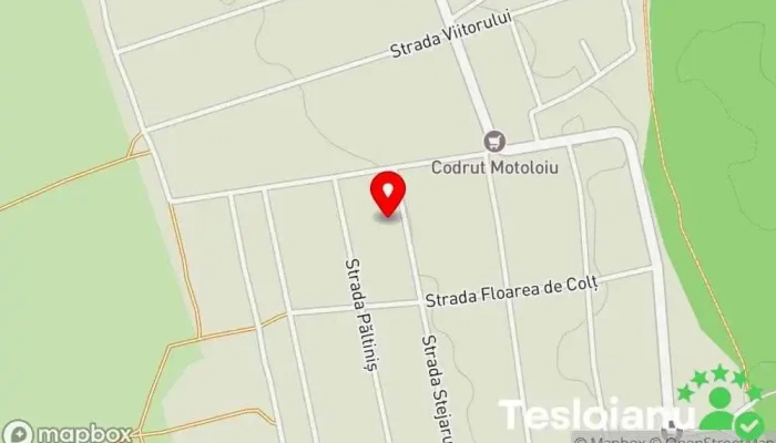 hartă a Făcăeni  în Făcăeni