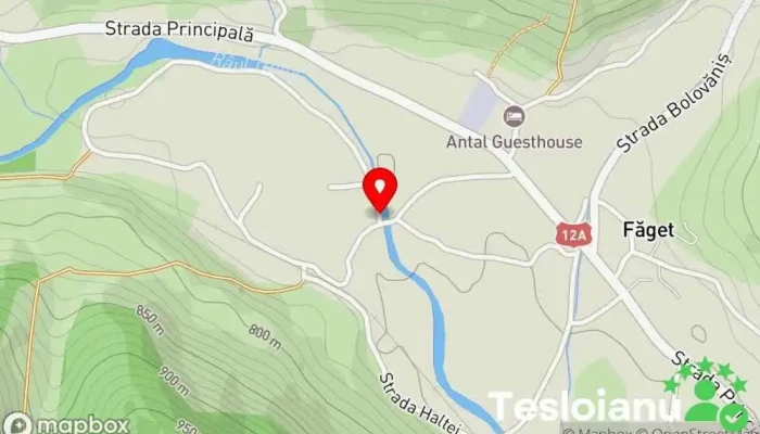 hartă a Făget  în Făget