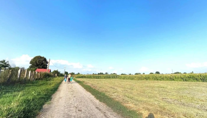 Farcasele Street View Si 360deg - Fărcașele