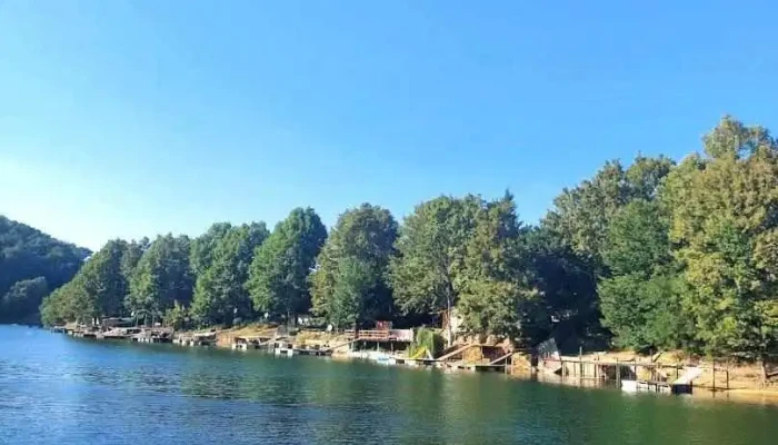 Fârdea - Fârdea