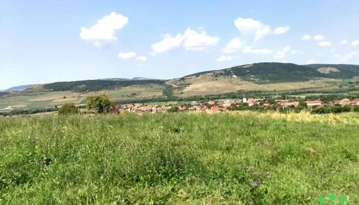 Feliceni - Feliceni