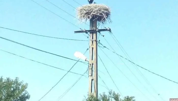 Ferești - Ferești