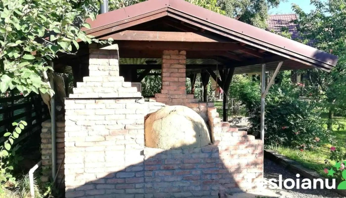 Ferma De La Casva -  De La Vizitatori - Cașva