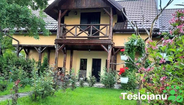 Ferma De La Casva -  Exterior - Cașva