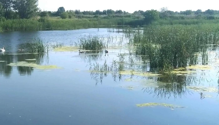 Ferma Piscicola Cornesti -  Cum Să Ajungi Acolo - Cornesti